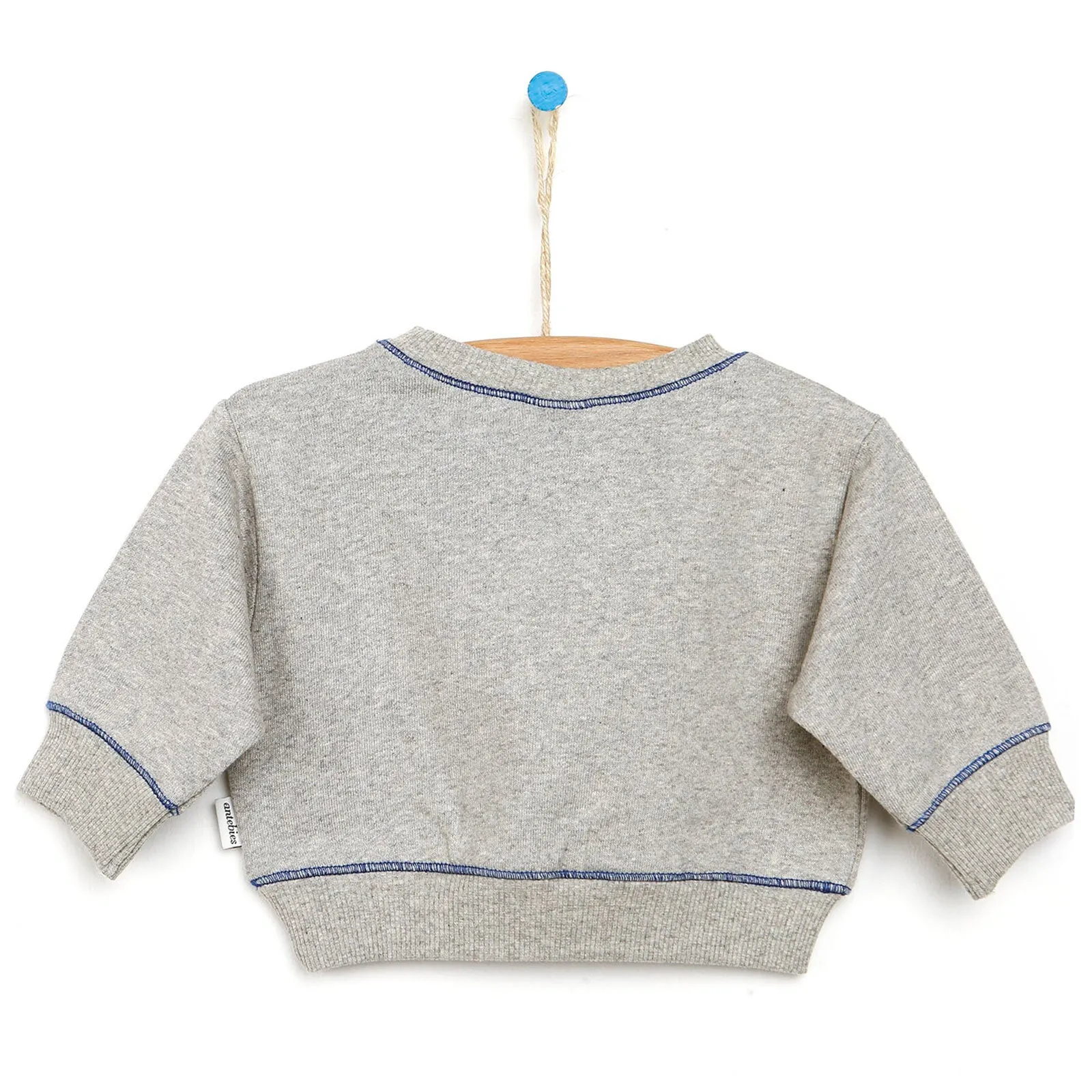 Antebies Newborn Sky Organic Sweatshirt - Grey