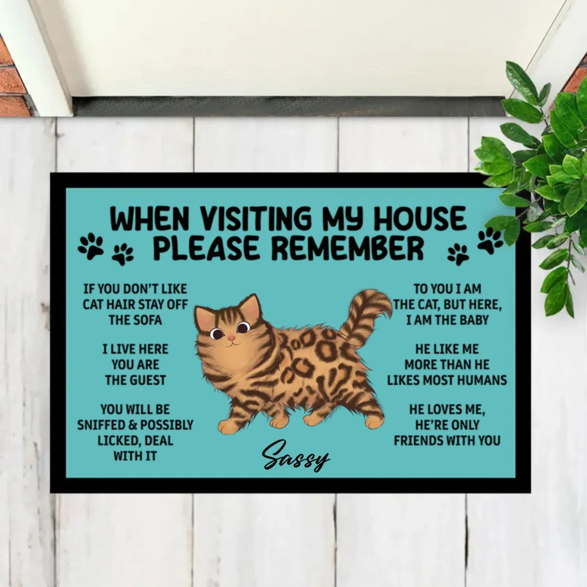 Cat Lovers - Please Remember When Visiting Cats House- Personalized Doormat