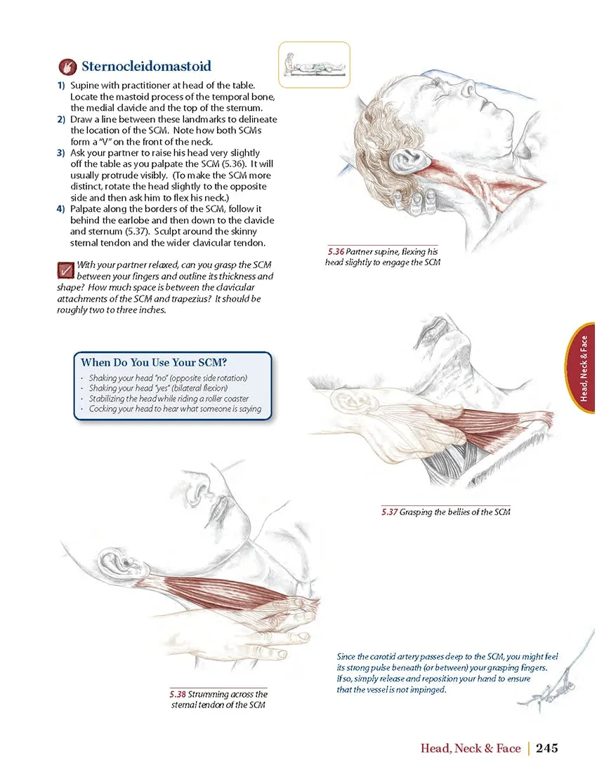 Trail Guide to the Body - 5th Edition