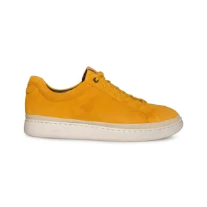 UGG Cali Sneaker Low Gold Orange Sneaker - Men's